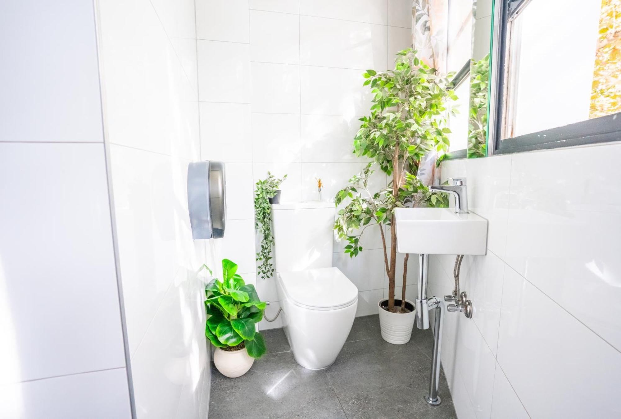 Hostel Mad Monkey Kings Cross (adults Only)